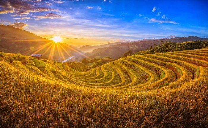 Ruộng bậc thang Sapa